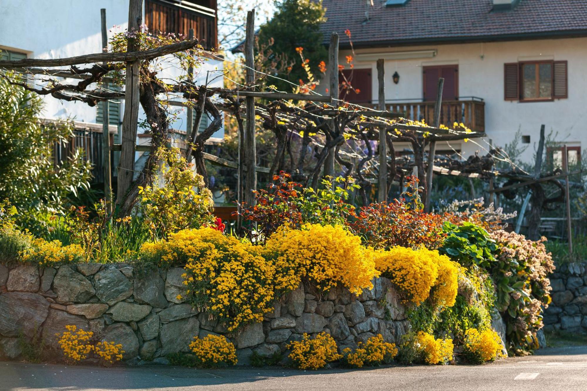 Ferienwohnungen St Hippolyt Mit Hallenbad Algund Buitenkant foto