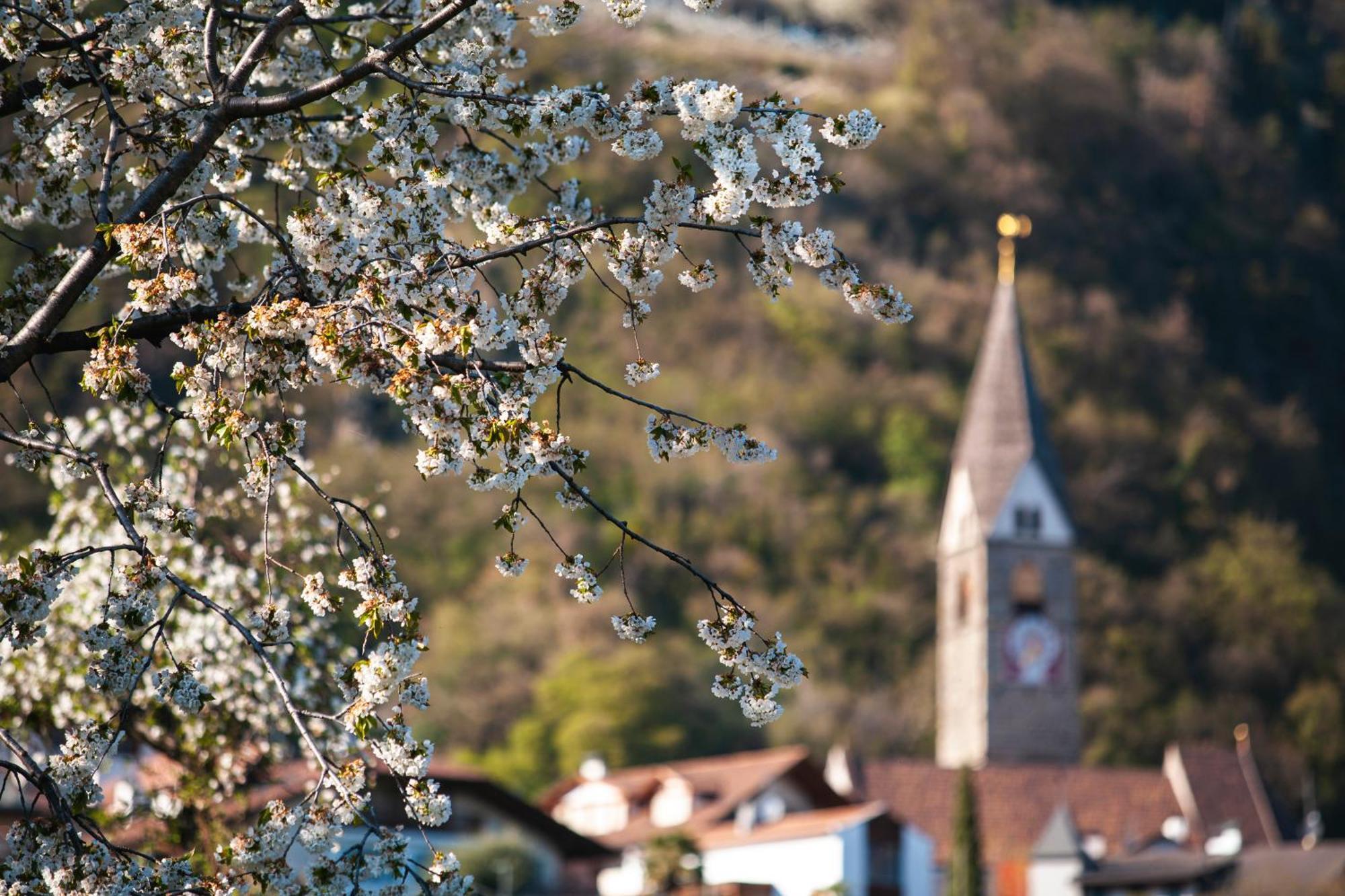 Ferienwohnungen St Hippolyt Mit Hallenbad Algund Buitenkant foto